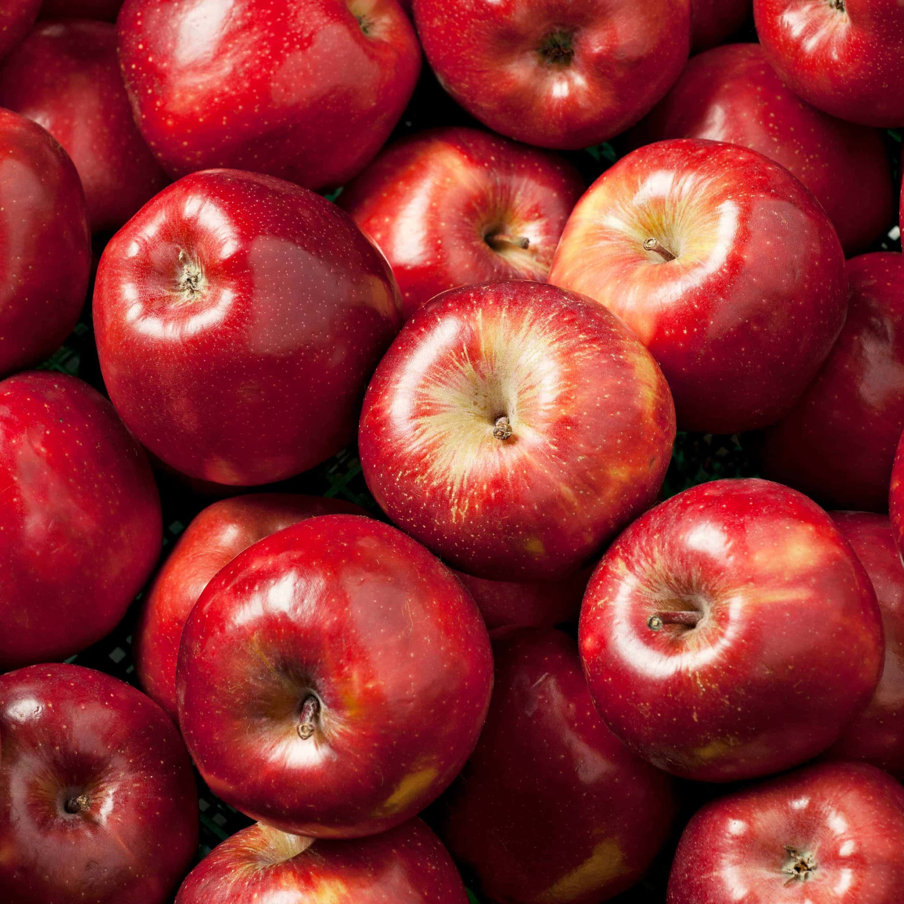 Jablka červené - prince cena kg